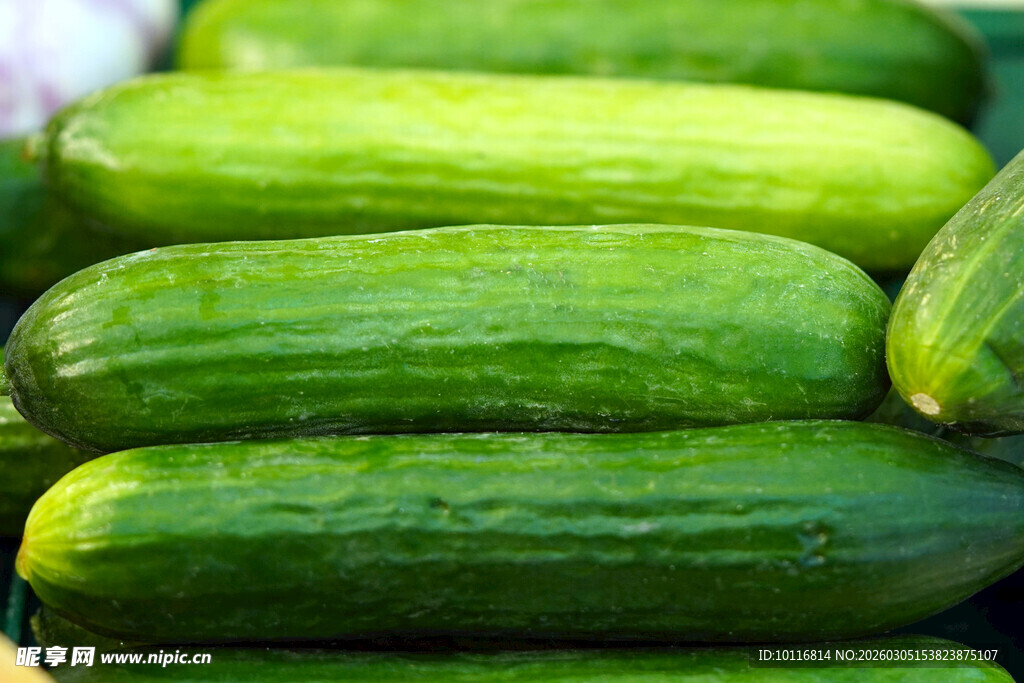 黄瓜