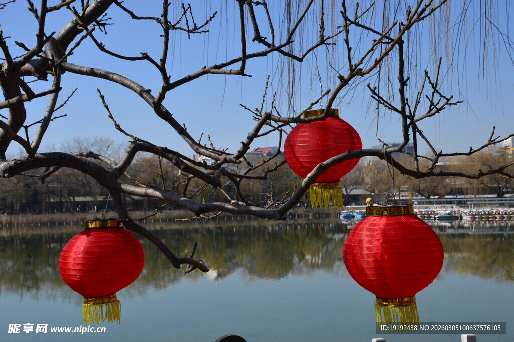  冬日风景  