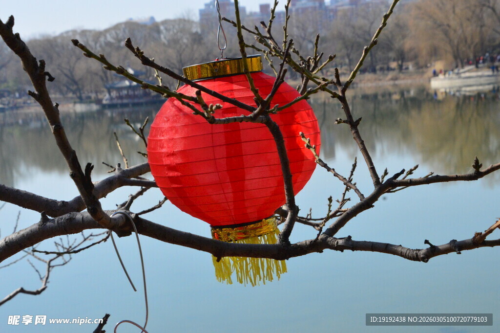 冬日风景  