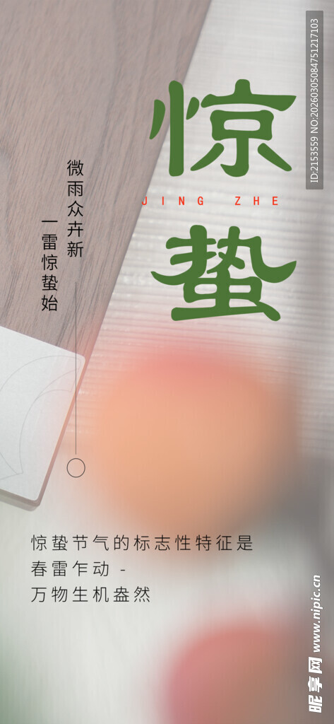 惊蛰时节书籍封面展示