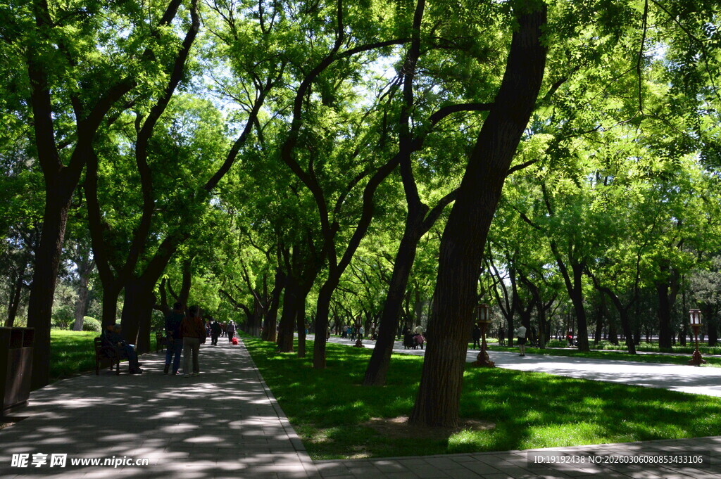 公园风景  