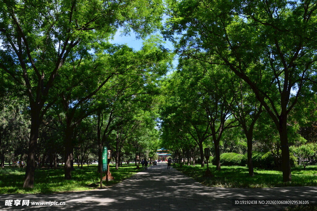 公园风景 
