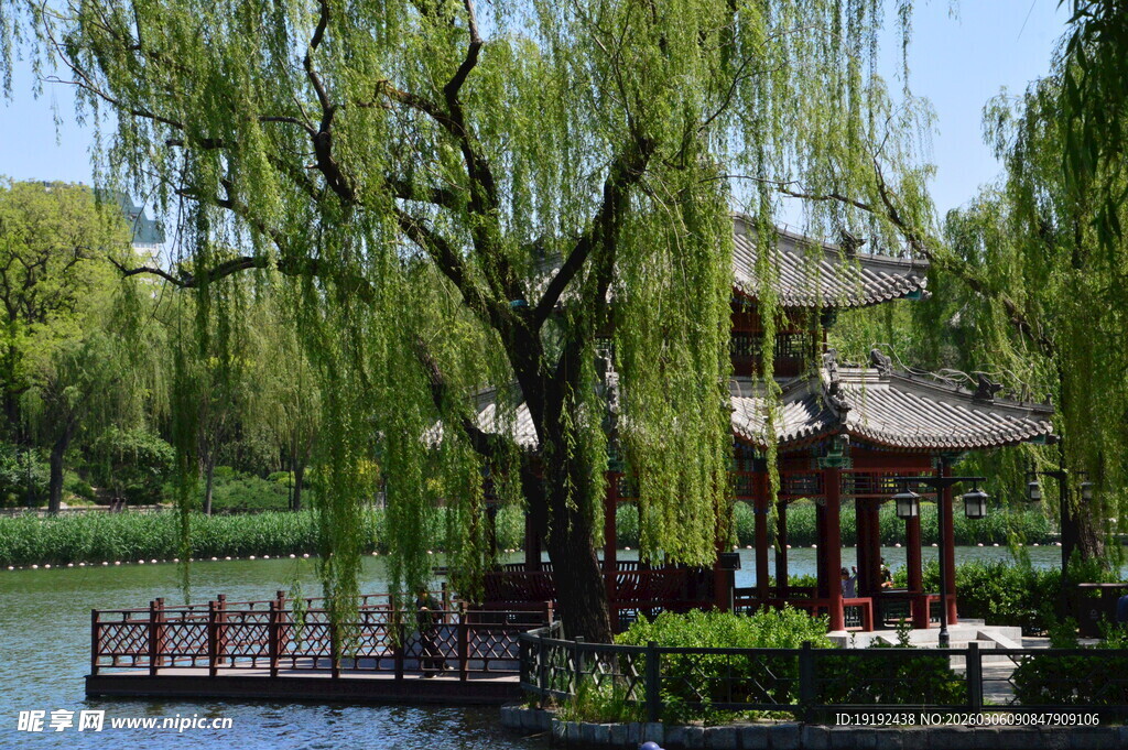 公园风景  