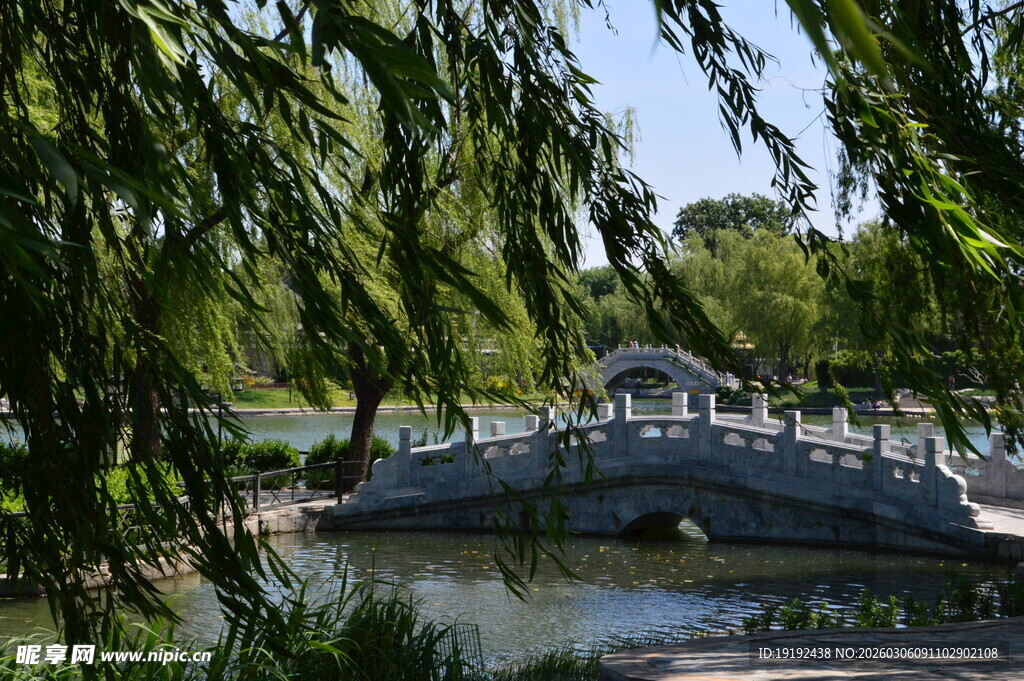 公园风景 