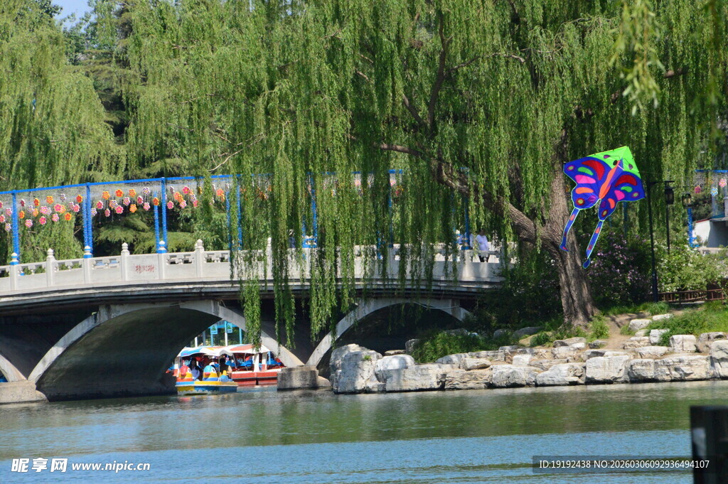 公园风景  