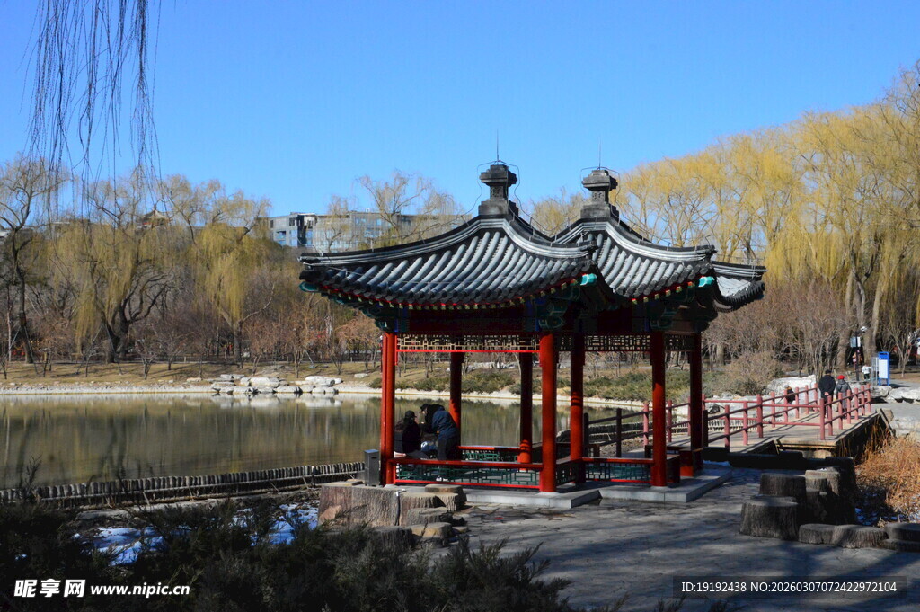 公园风景 