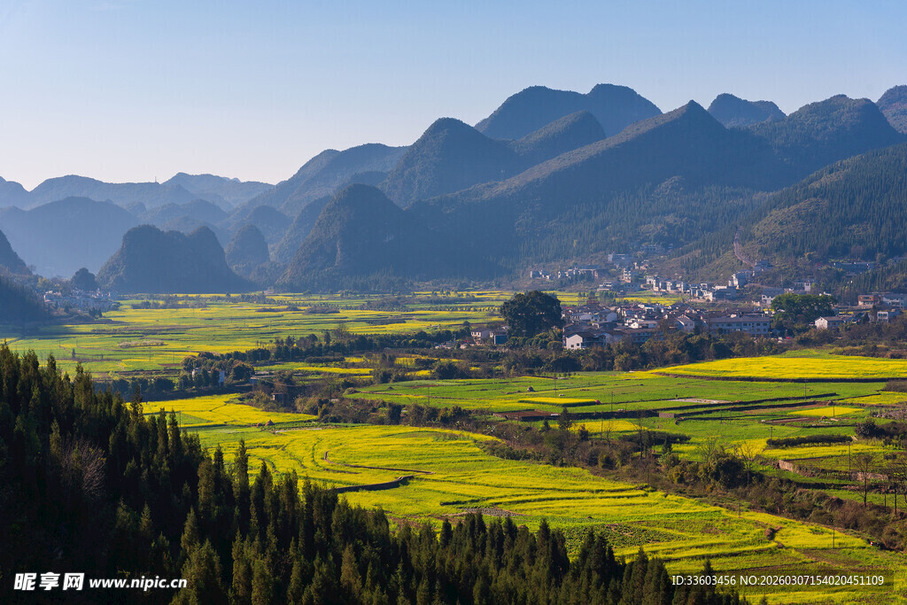 春日山间油菜田园美景