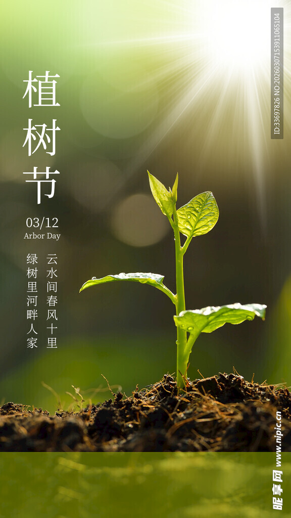 植树节