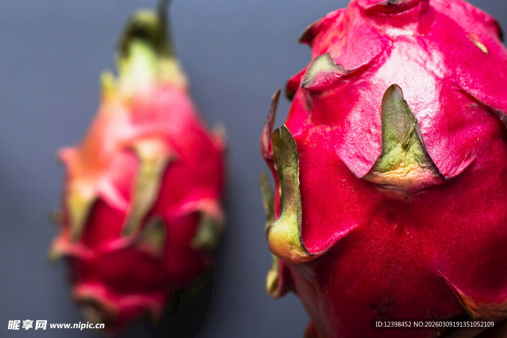 两个鲜艳的火龙果特写