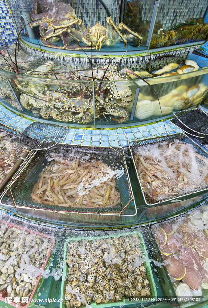 丰富多样的海鲜干货陈列