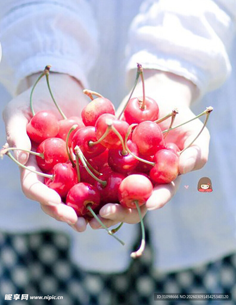 手捧新鲜樱桃的美好画面