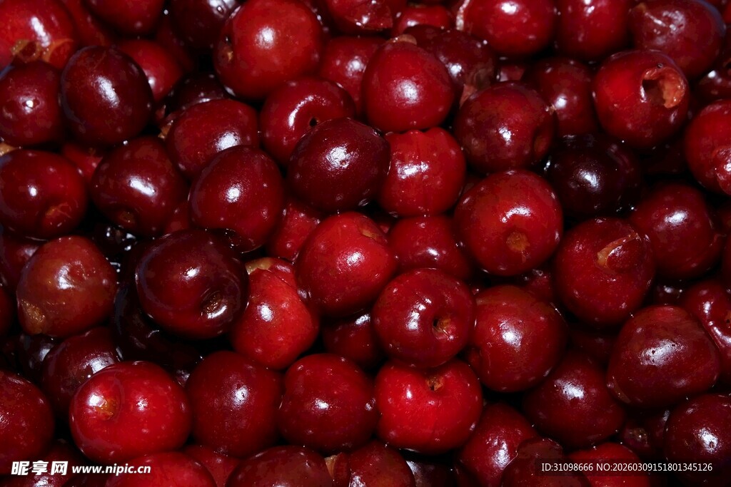 饱满鲜红的多汁樱桃