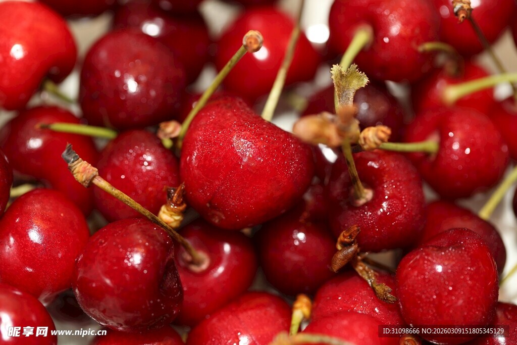 新鲜饱满的红樱桃