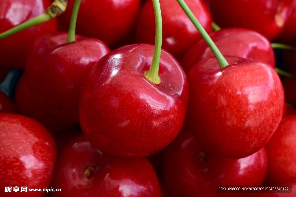 新鲜饱满的红樱桃