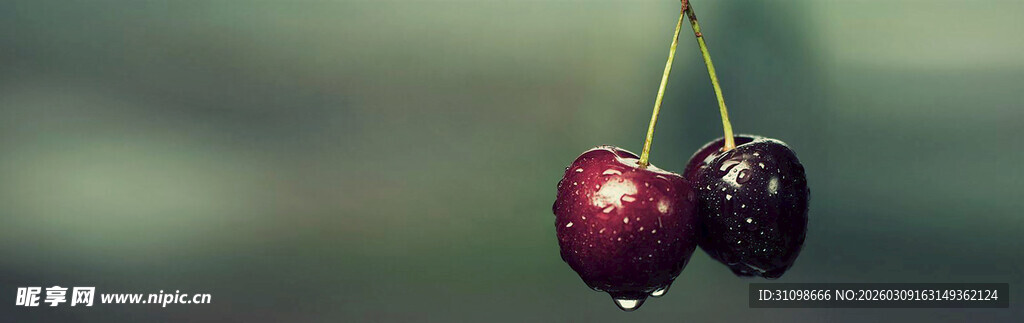 两颗饱满的鲜艳红樱桃