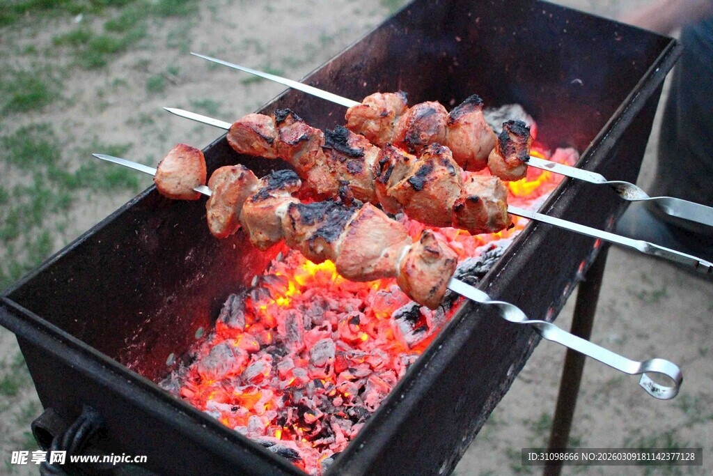 户外烤肉架上的美味烤肉