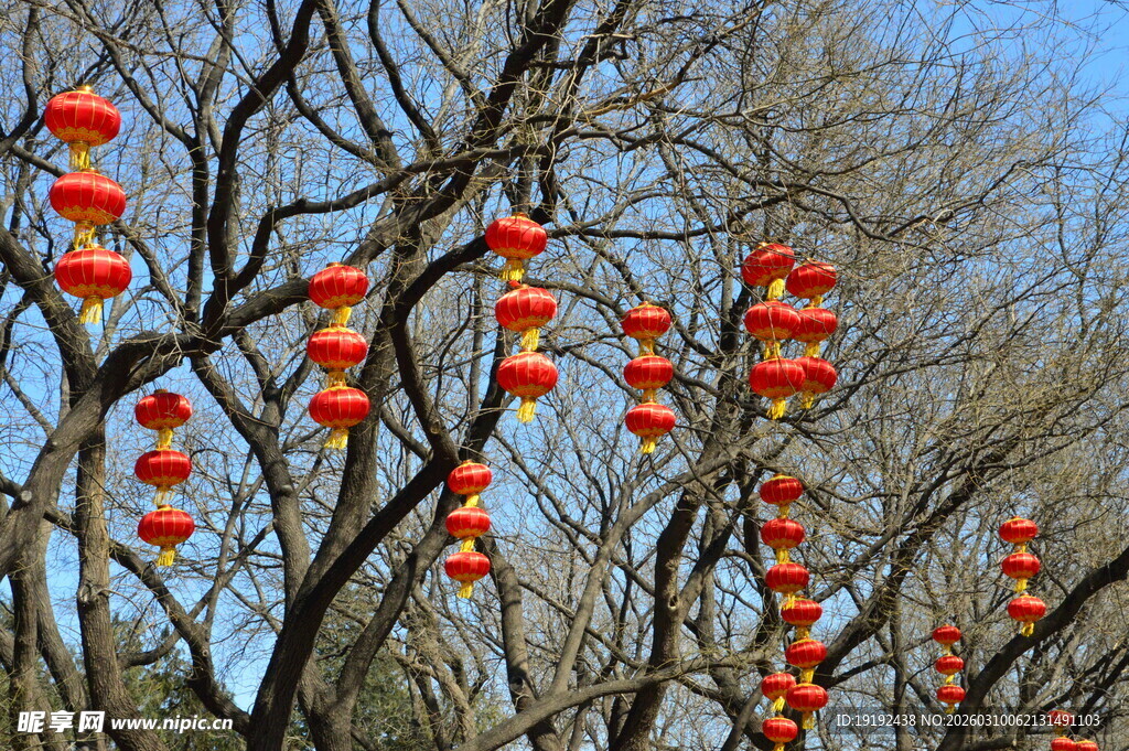 红灯笼  