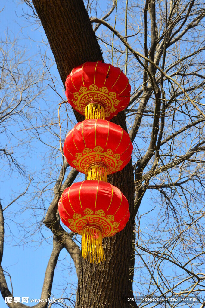 红灯笼  