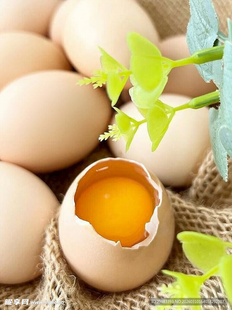 鸡蛋