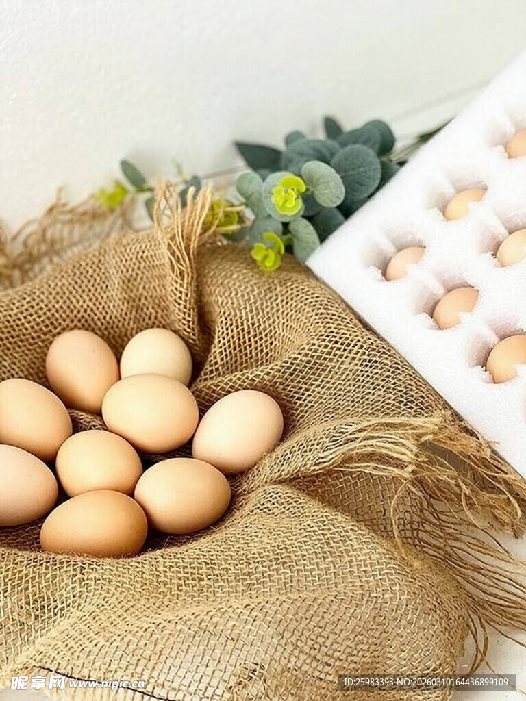 鸡蛋