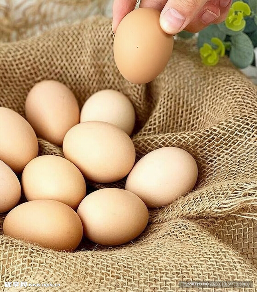 鸡蛋