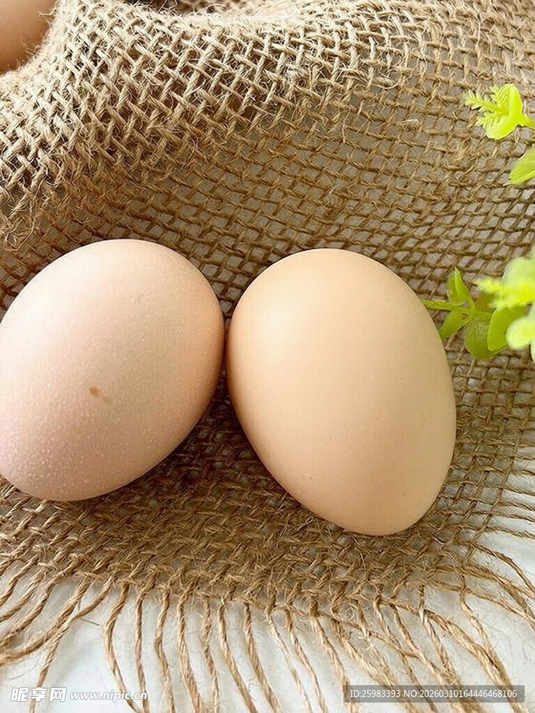 鸡蛋