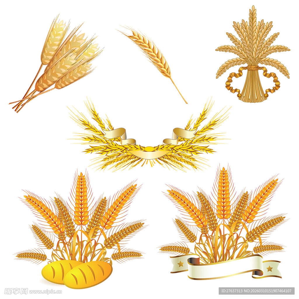 金色麦穗装饰素材集合