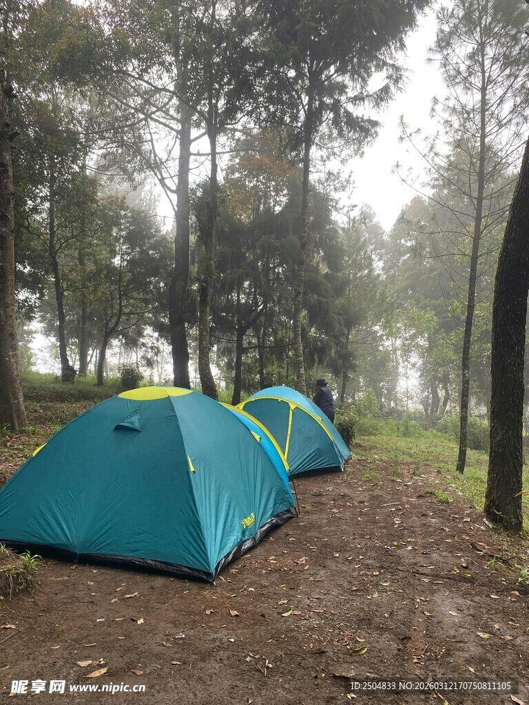 林间蓝色帐篷露营场景