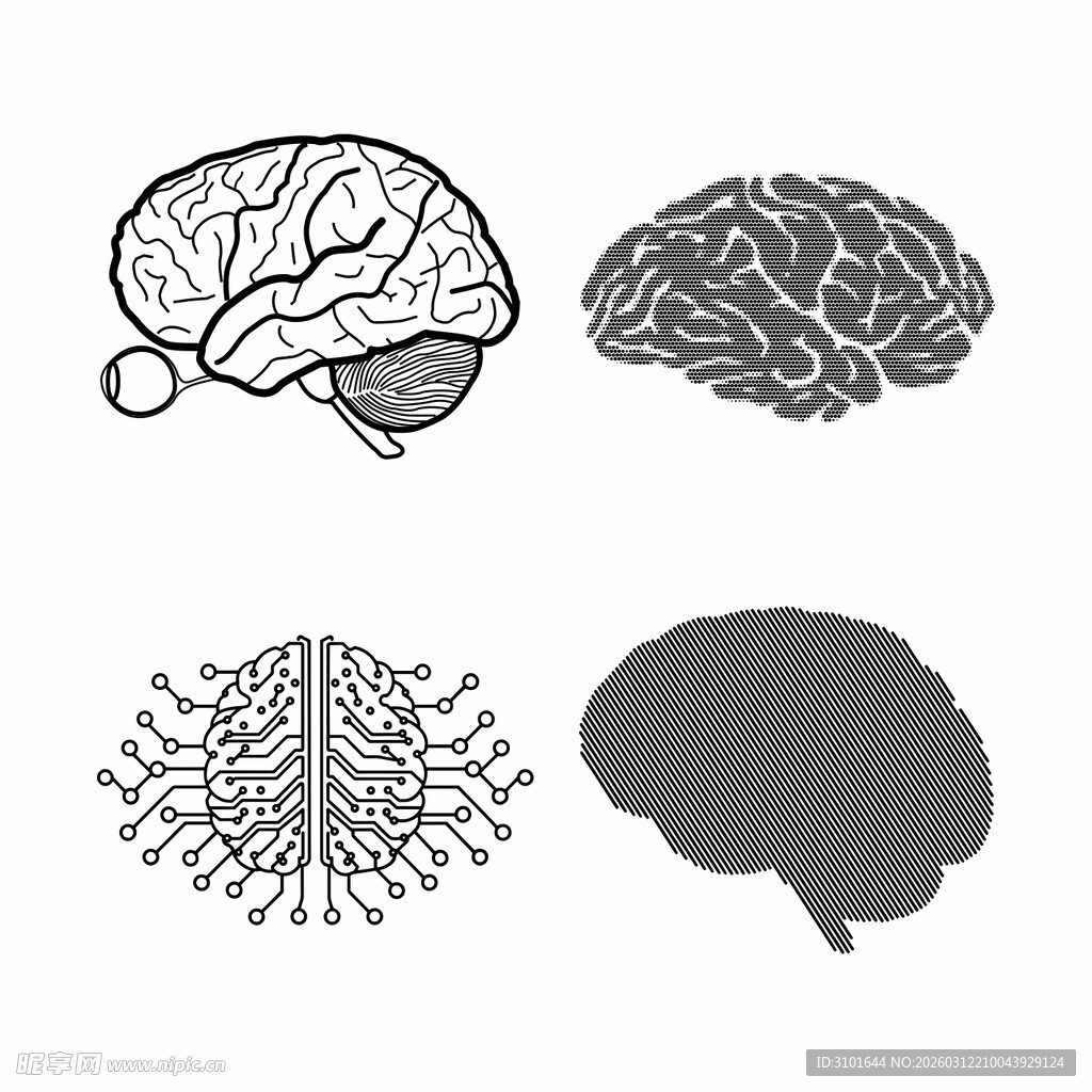 人脑图案
