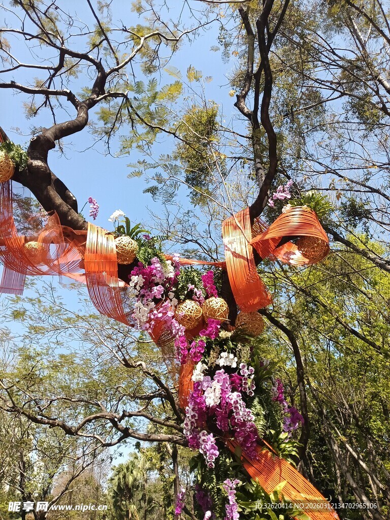 多彩花卉