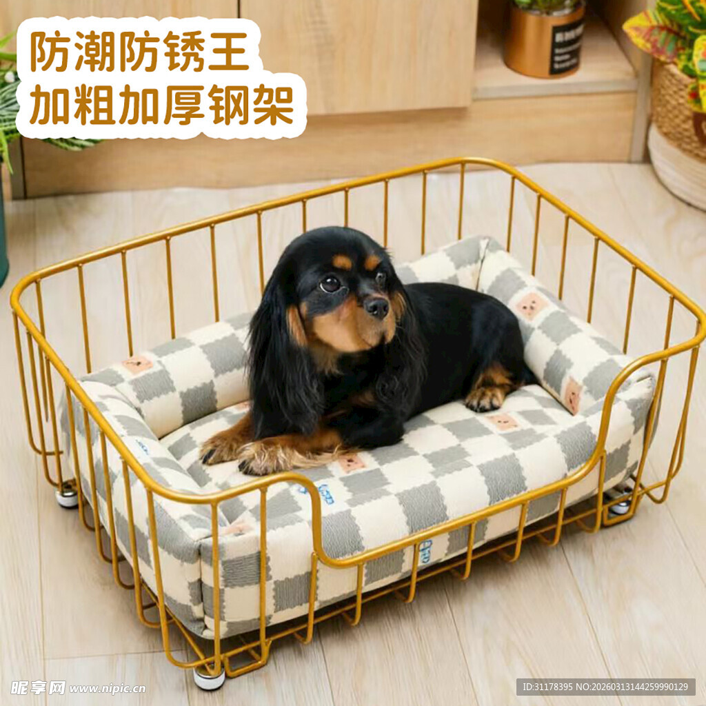 小狗安卧于金色宠物床