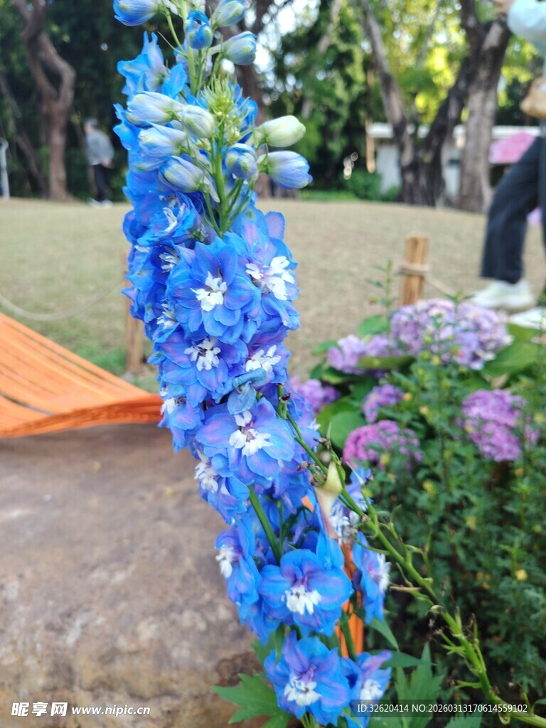 蓝色花卉装饰