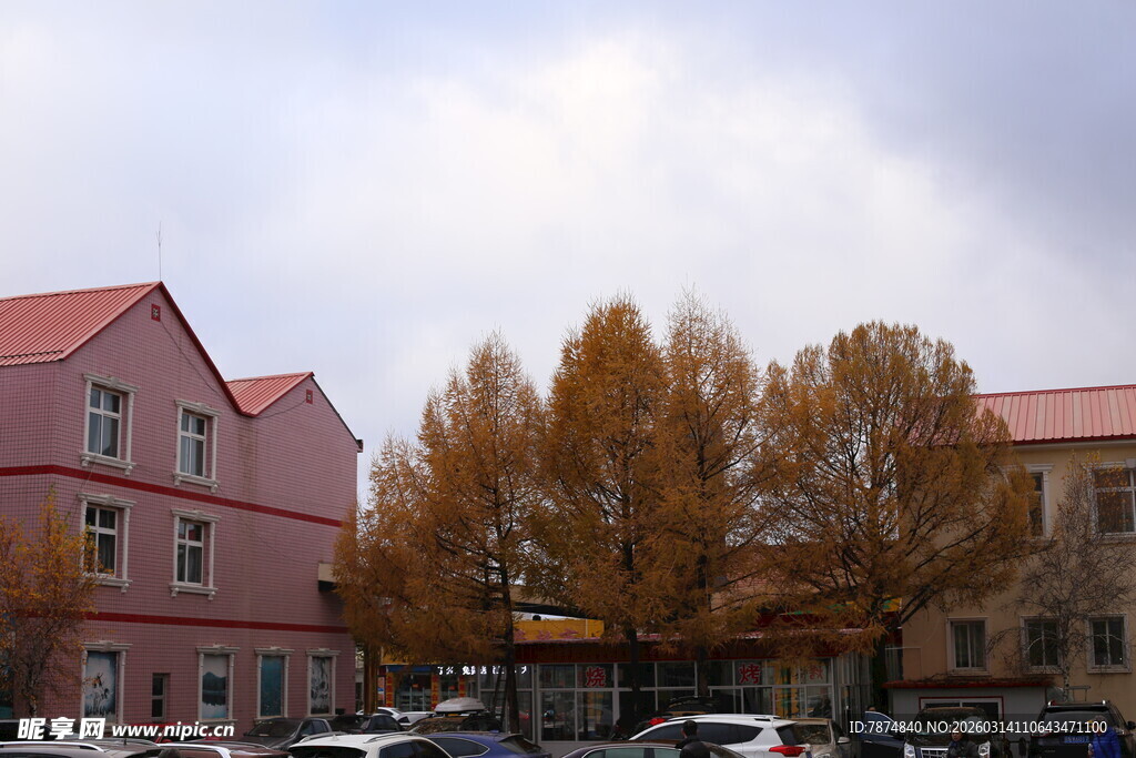 秋日街道旁的多彩建筑