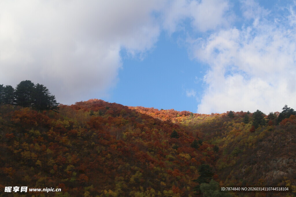 秋日山坡美景