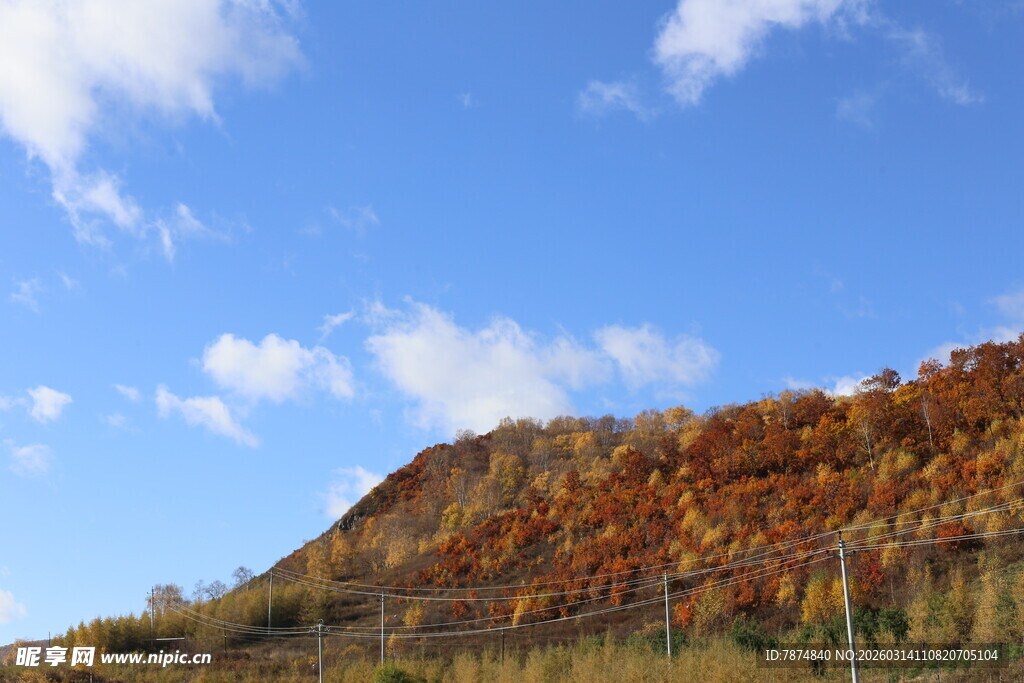 秋日山坡斑斓美景