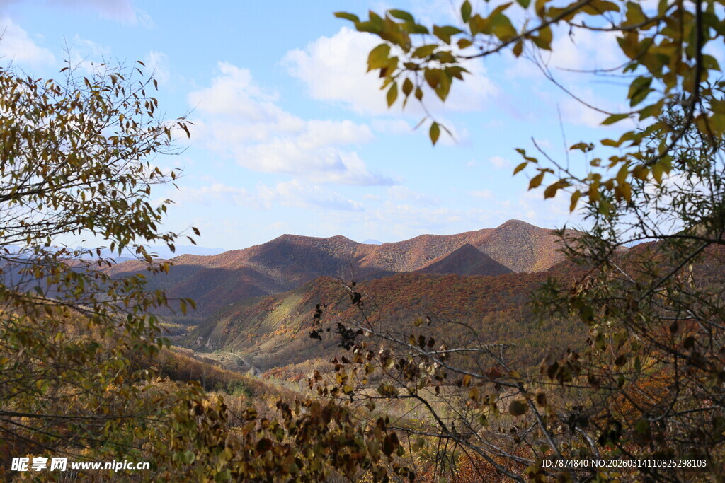 山间秋景 黄叶伴远山