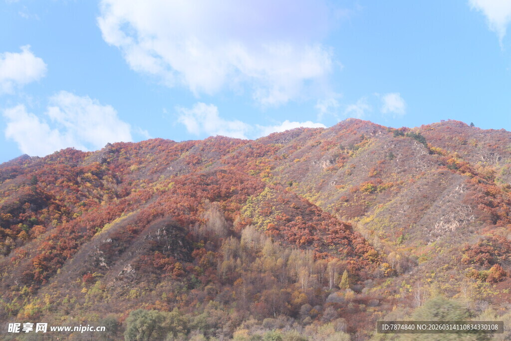 秋日斑斓山峦景色
