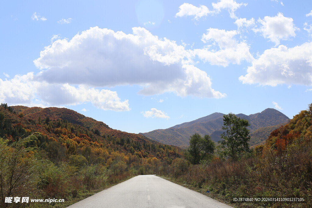 山间公路秋景