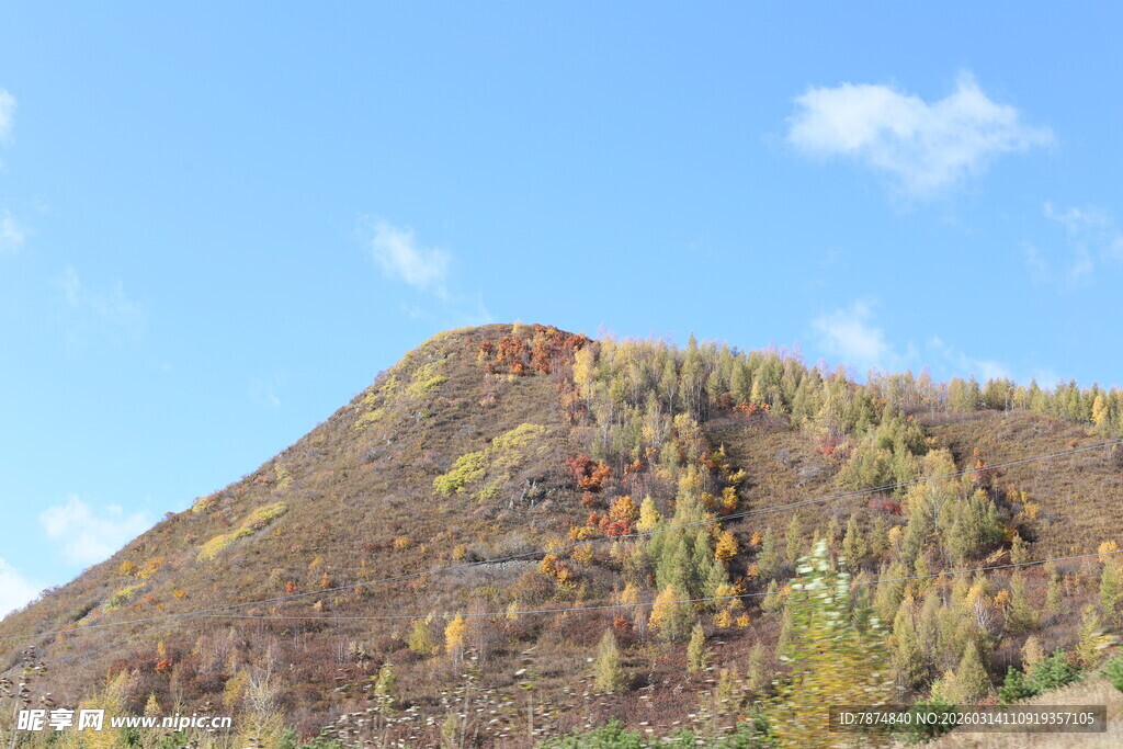 秋日斑斓山坡美景