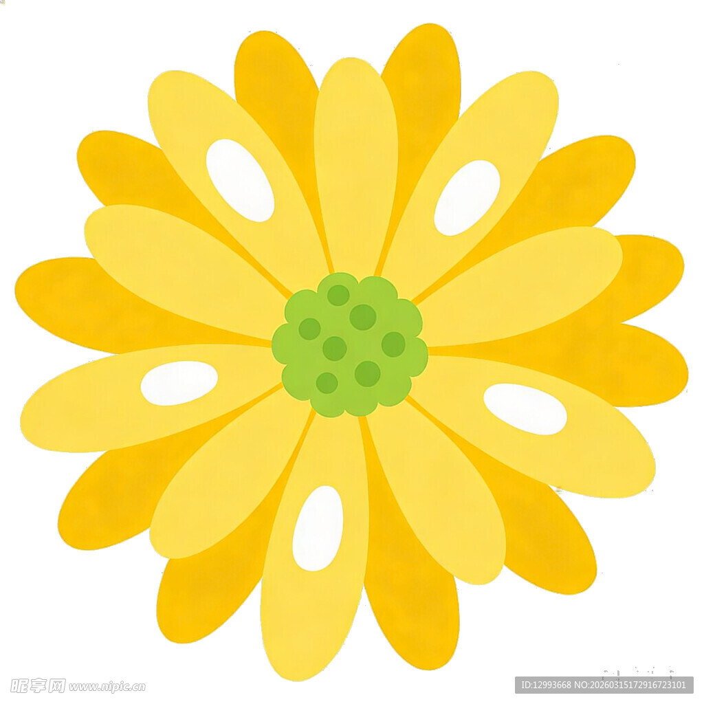 黄色花朵插画