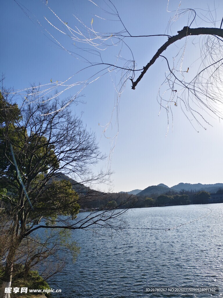 湖畔风光