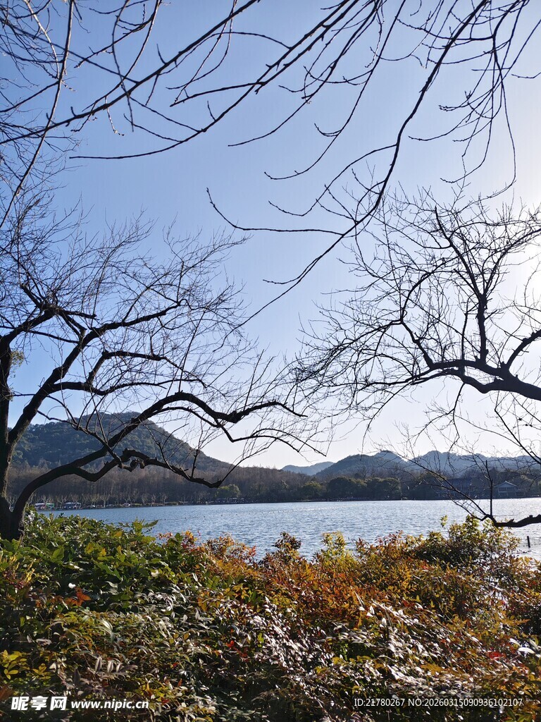 湖畔冬景