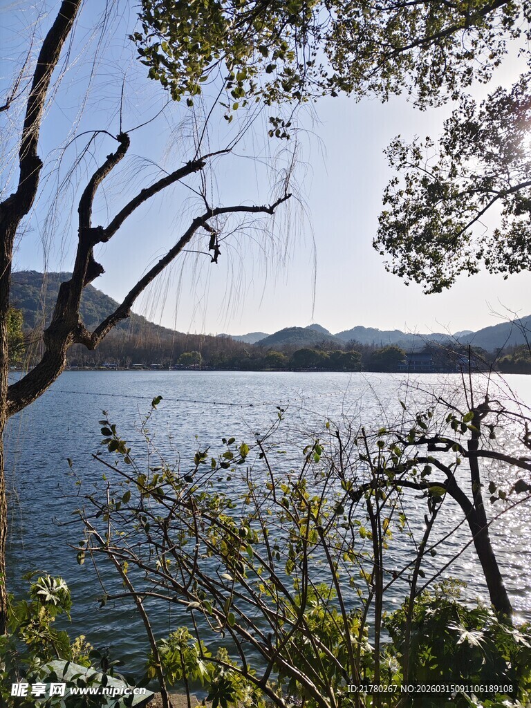 西湖畔美景