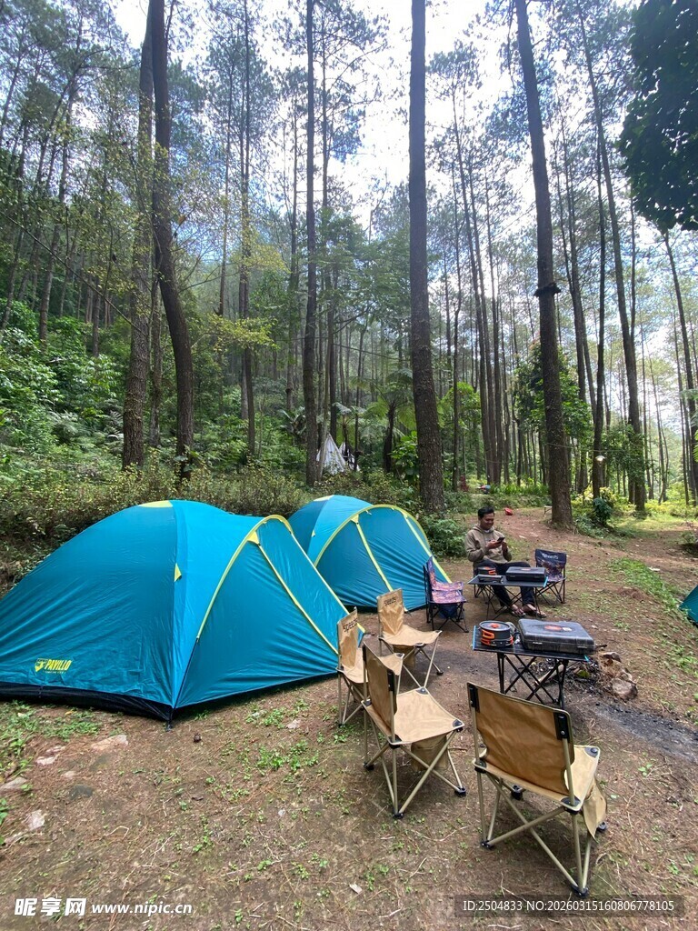 森林中露营场景