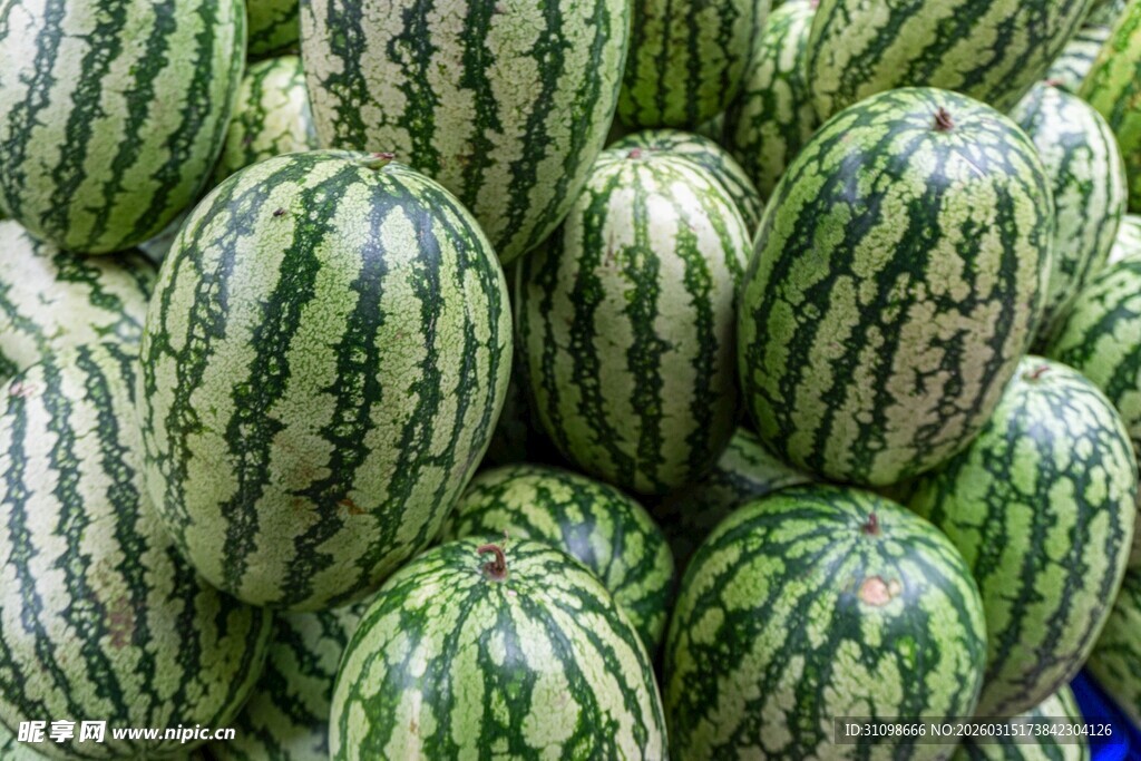 新鲜饱满的西瓜堆叠