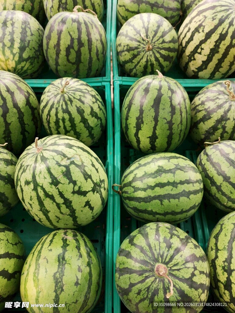 整齐摆放的新鲜大西瓜