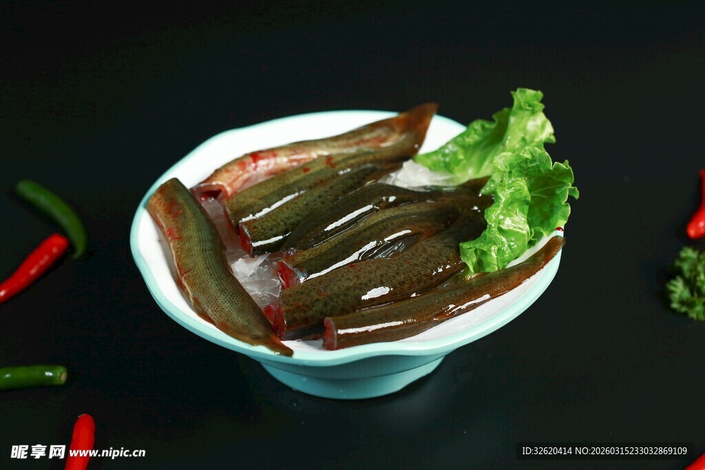鳝鱼