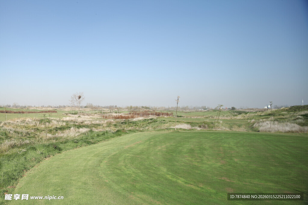 绿意盎然的高尔夫球场