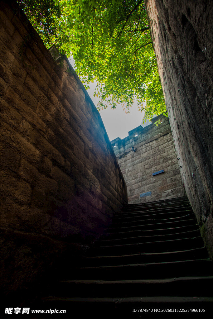 石梯间的绿意与光影