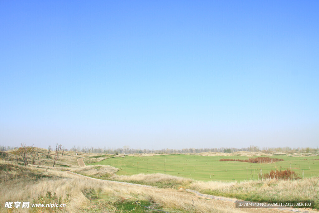 广袤原野风光